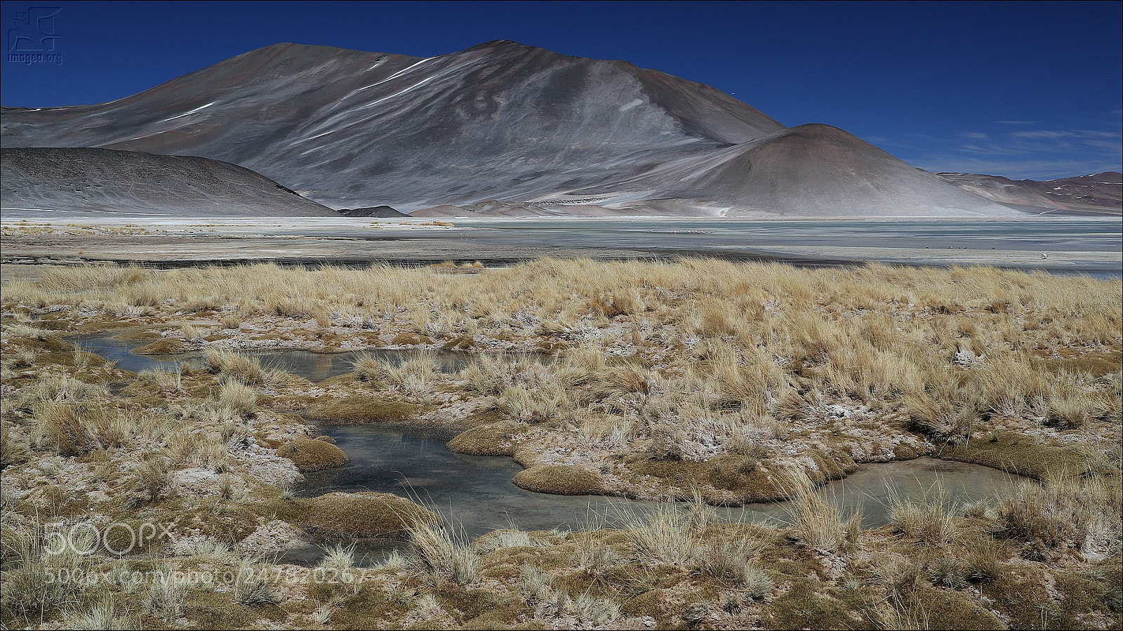 Canon EOS M5 sample photo. Salar de talar photography