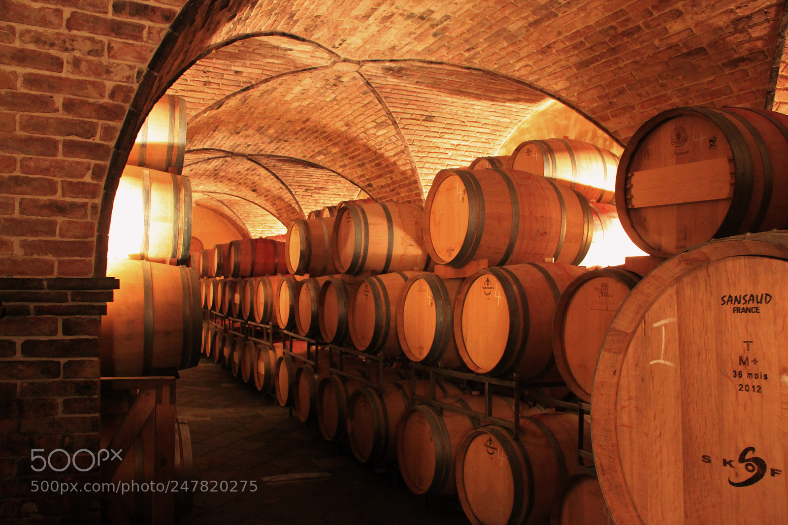 Canon EOS 550D (EOS Rebel T2i / EOS Kiss X4) sample photo. Treasure of scoff winery photography