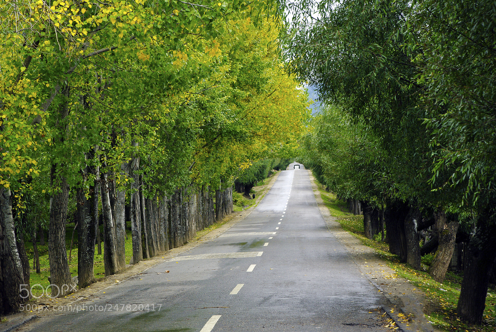 Pentax K20D sample photo. Beautiful road photography