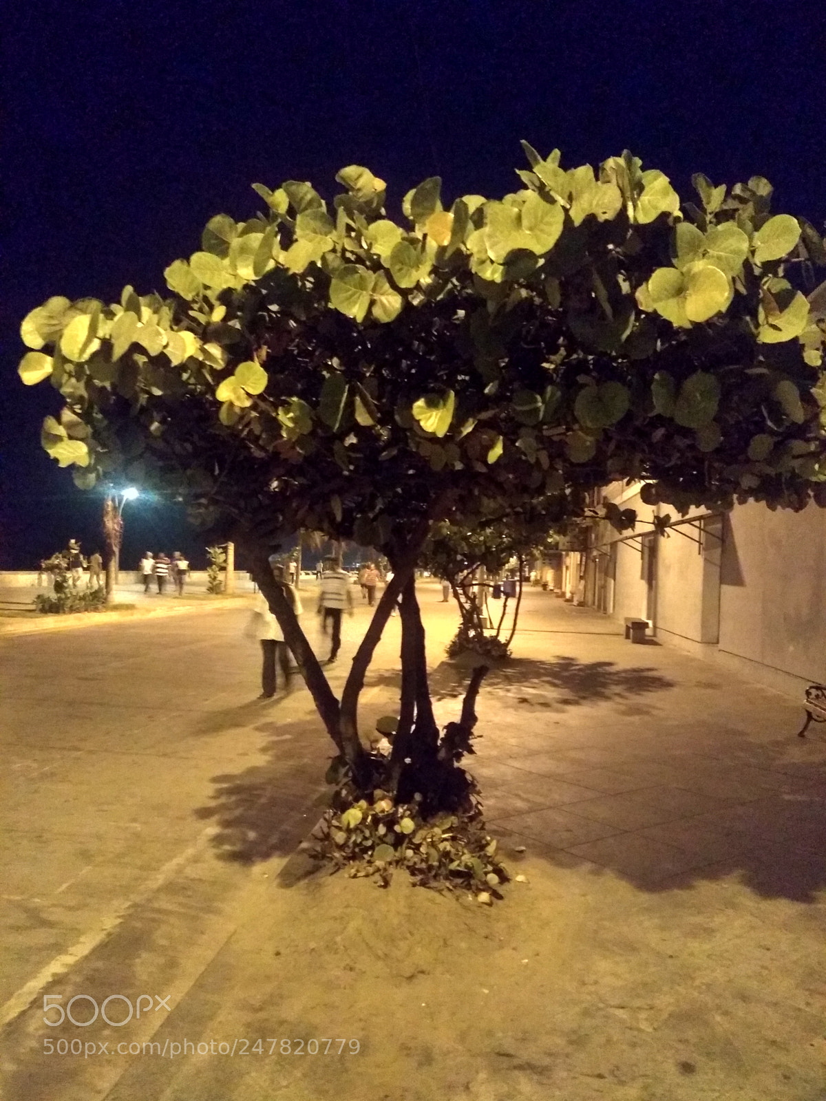 Motorola Moto G (5S) Plus sample photo. Untitled photography