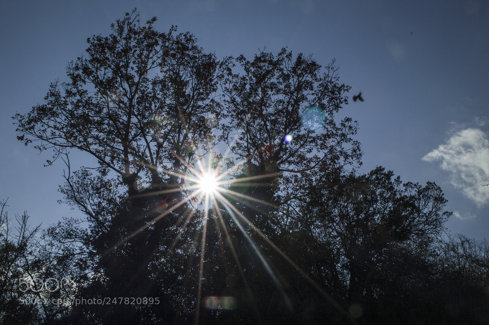 Nikon D3200 sample photo. Sunrise photography