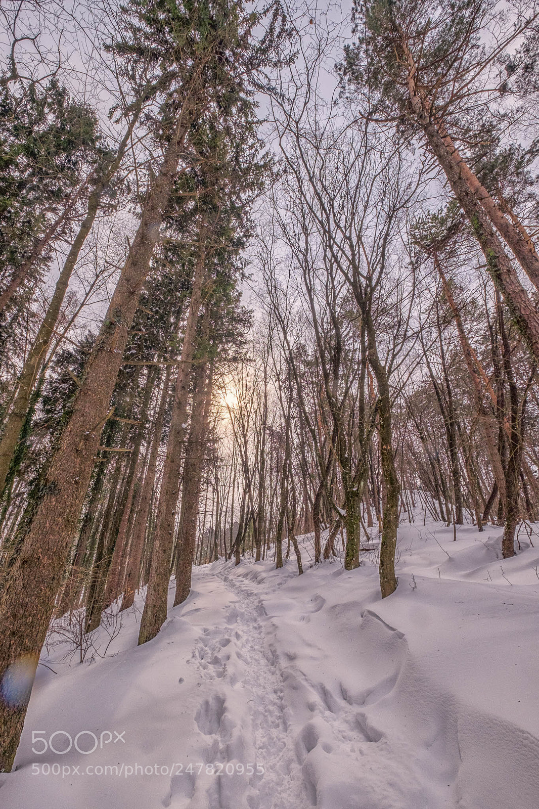 Fujifilm X-T1 sample photo. Untitled photography