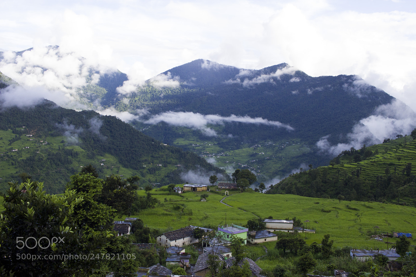 Canon EOS 600D (Rebel EOS T3i / EOS Kiss X5) sample photo. Lush vegetation photography