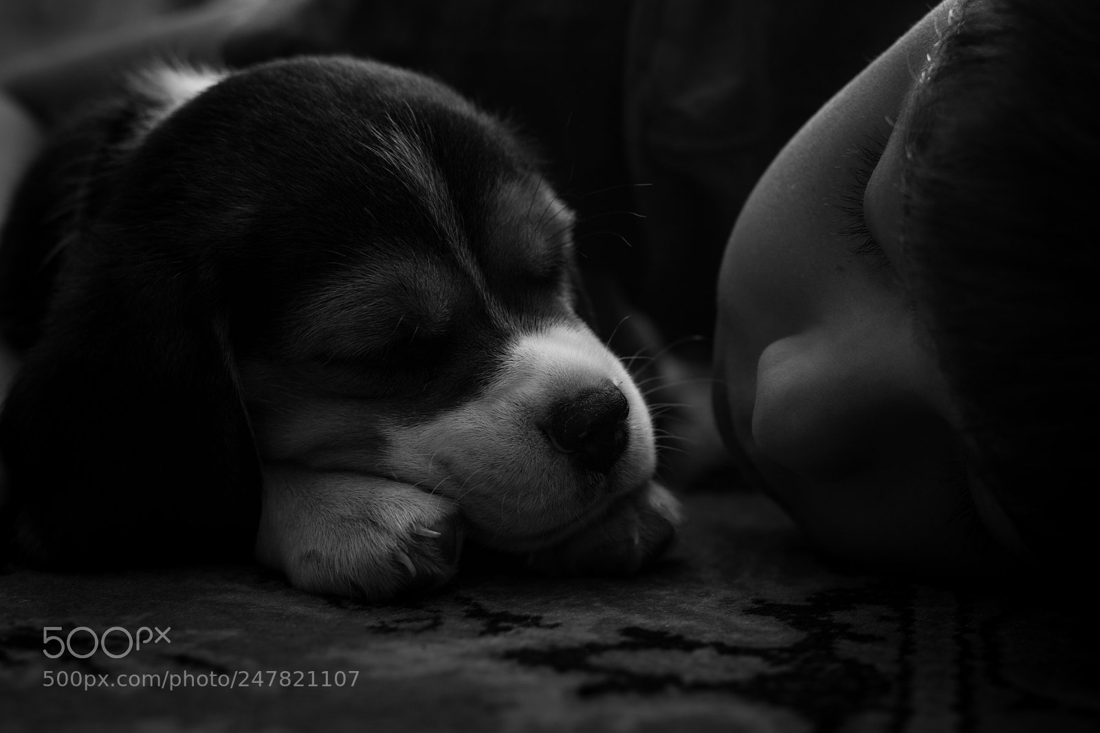 Nikon D3400 sample photo. Sleeping kids photography