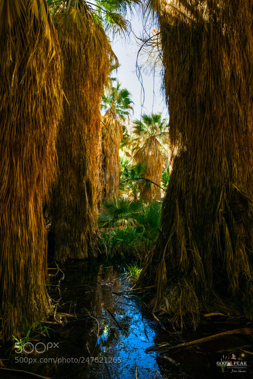 Sony a7R II sample photo. Blue sky beyond the photography