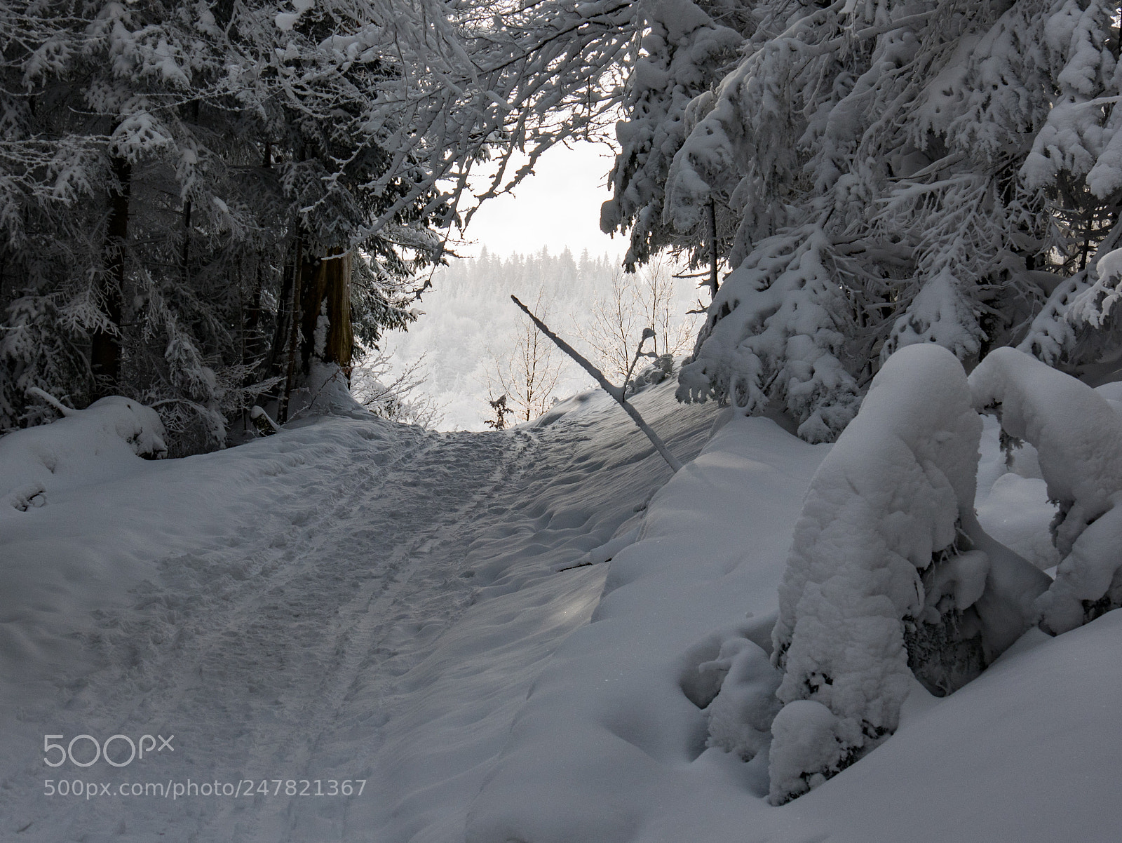 Panasonic Lumix DMC-GX85 (Lumix DMC-GX80 / Lumix DMC-GX7 Mark II) sample photo. Winter photography