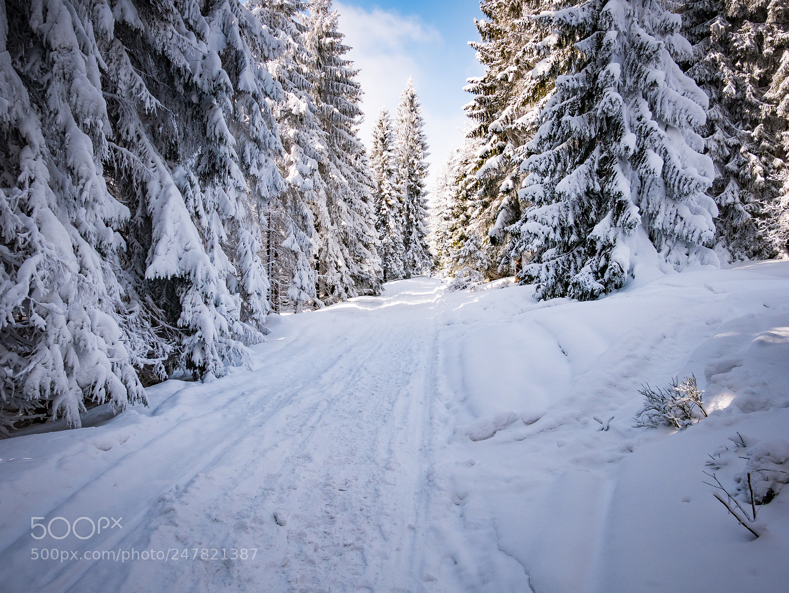 Panasonic Lumix DMC-GX85 (Lumix DMC-GX80 / Lumix DMC-GX7 Mark II) sample photo. Winter photography