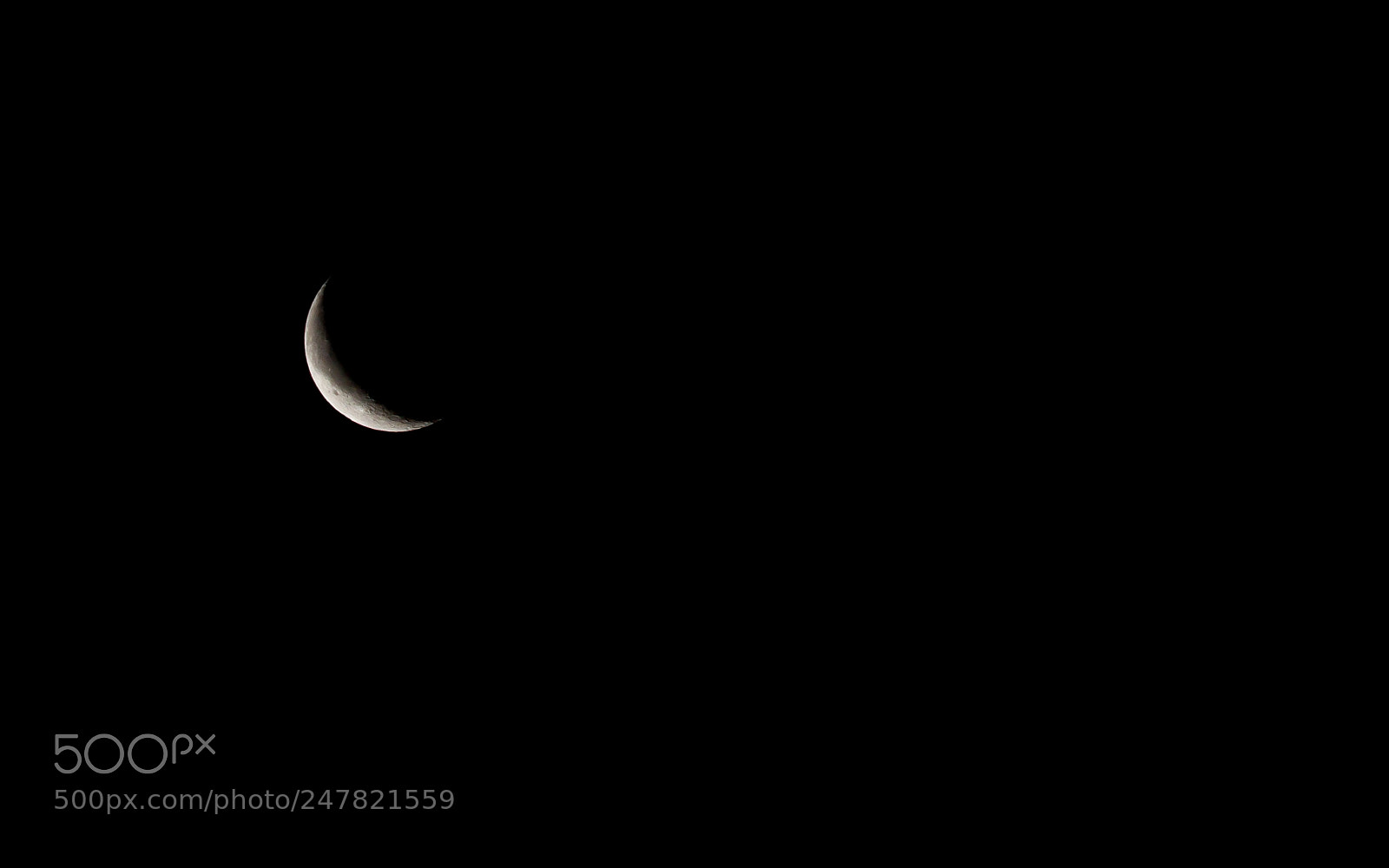 Canon EOS 60D sample photo. There's moon in the photography