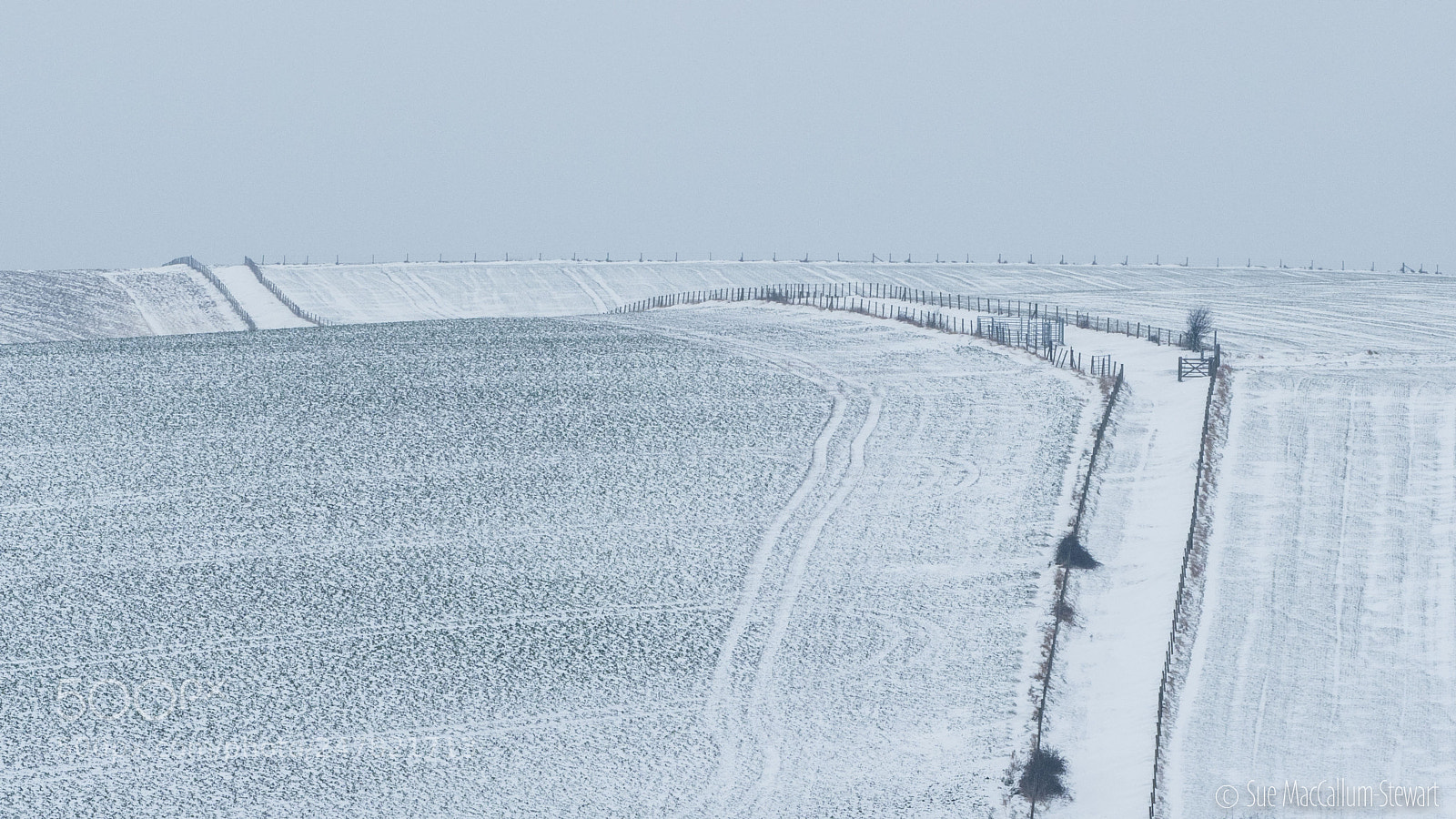 Olympus OM-D E-M1 Mark II sample photo. Minimalism 2 photography