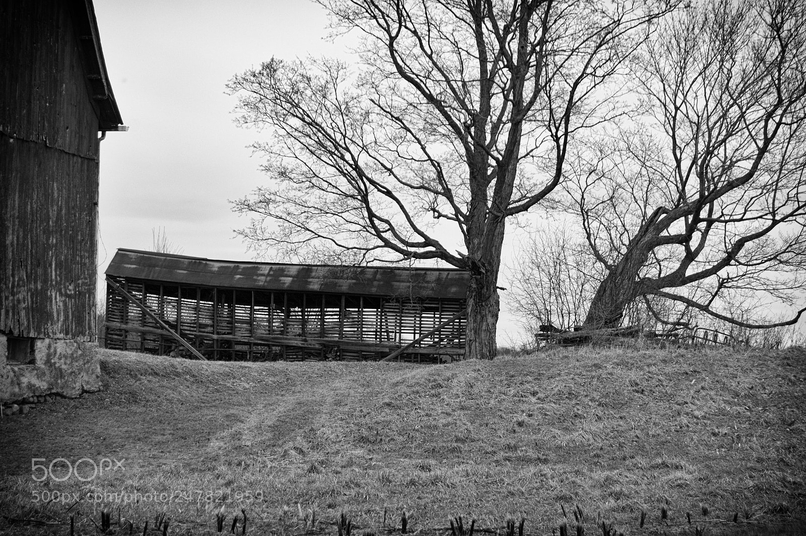 Nikon D40 sample photo. Empty photography