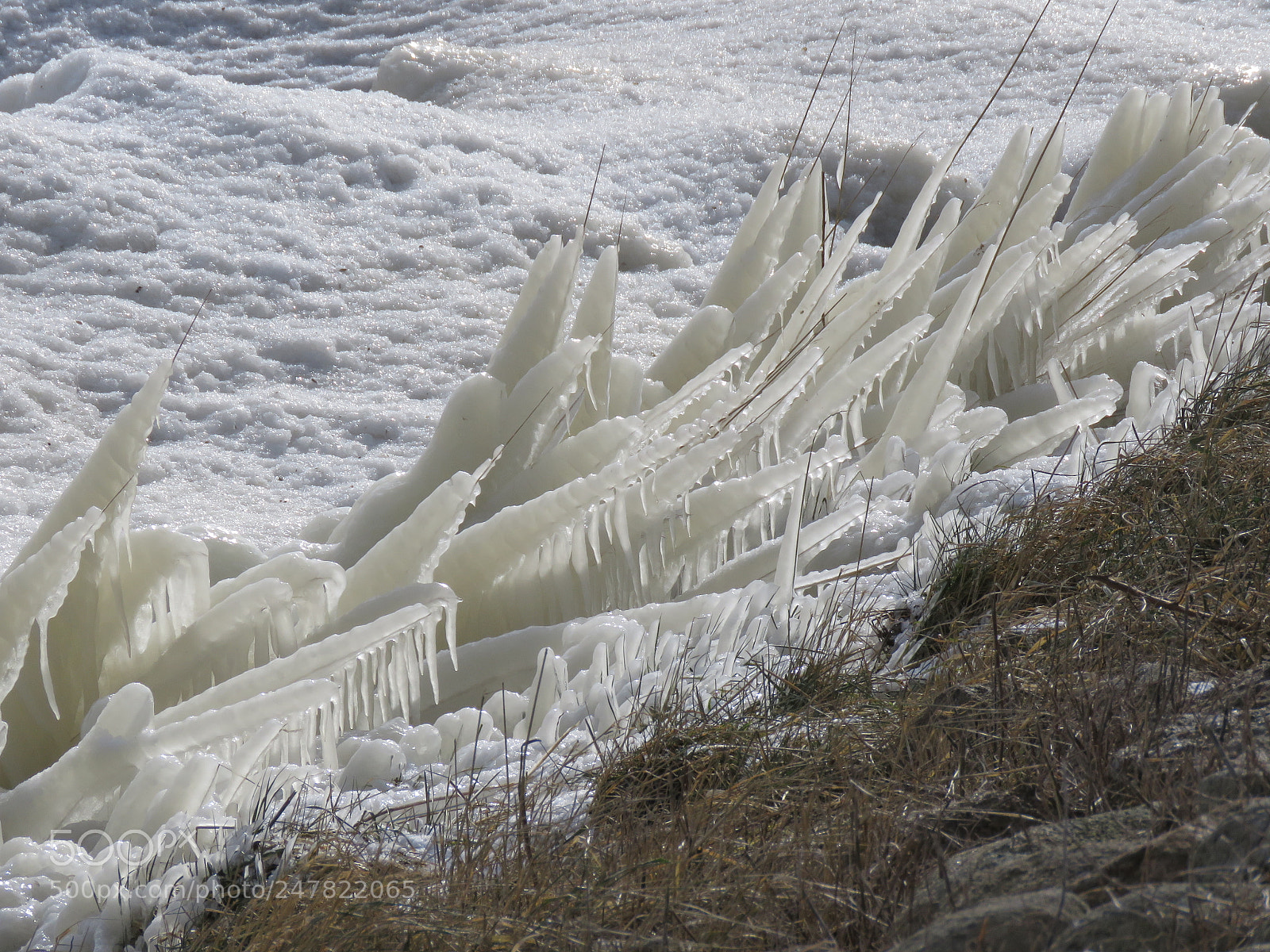 Canon PowerShot SX60 HS sample photo. Crossing ice photography