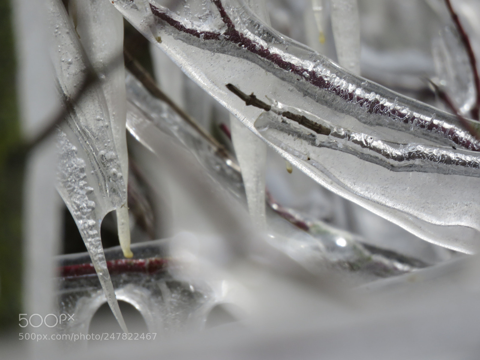 Canon PowerShot SX60 HS sample photo. Ice isolated photography