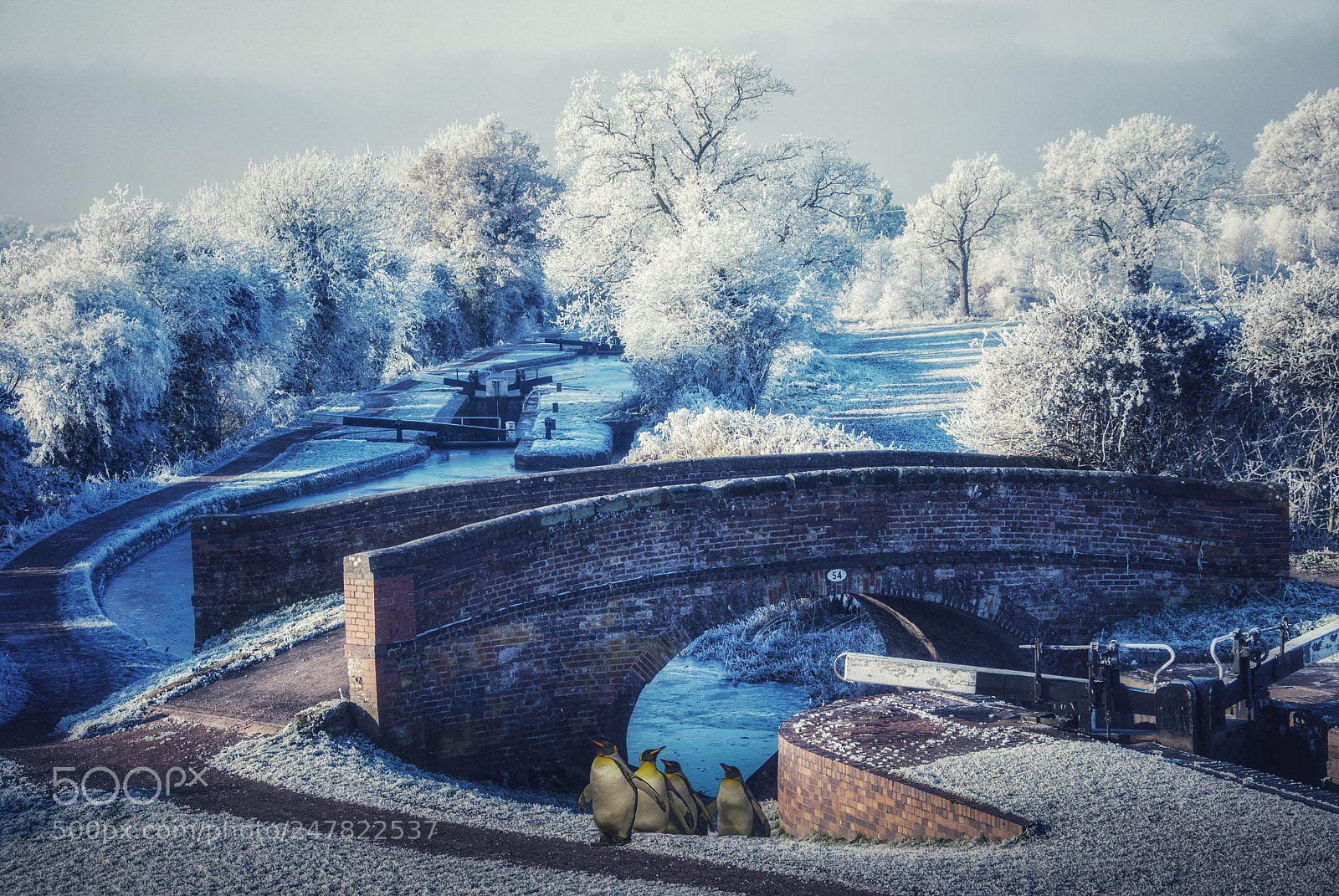 Nikon D80 sample photo. Cold in worcestershire photography