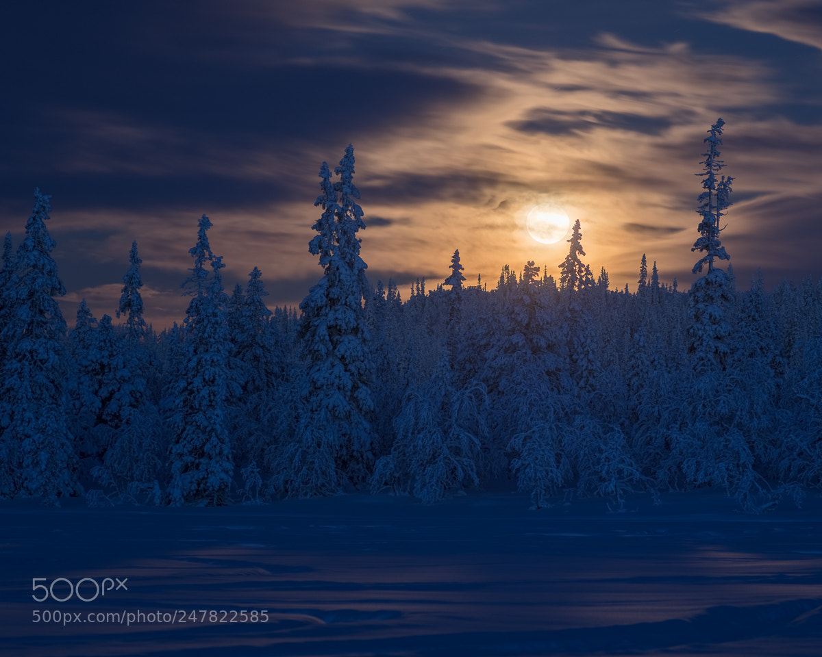 Canon EOS 5DS R sample photo. Drevfjället v photography
