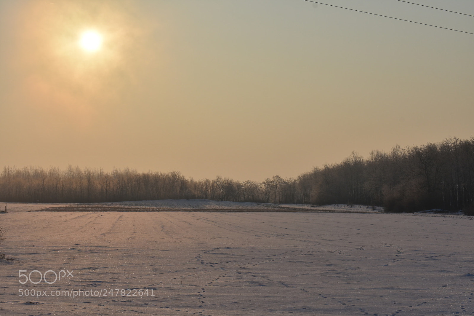 Nikon D3400 sample photo. Sunny photography