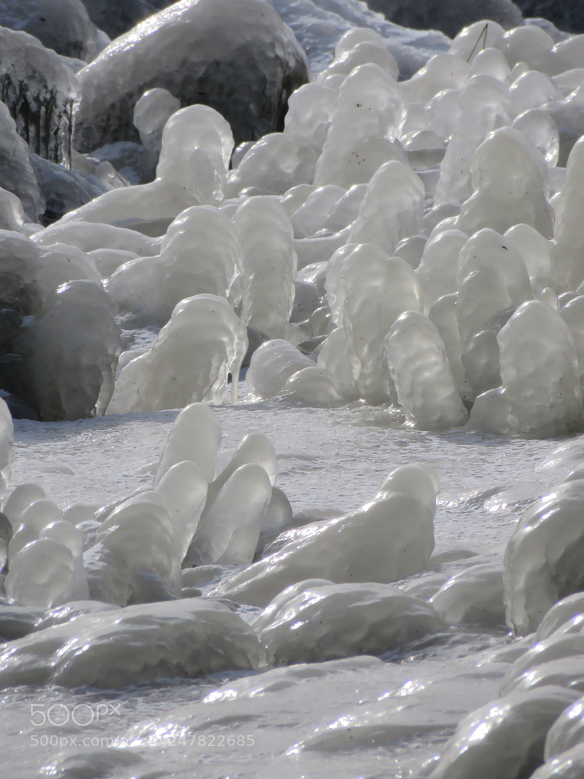 Canon PowerShot SX60 HS sample photo. Crossed ice photography
