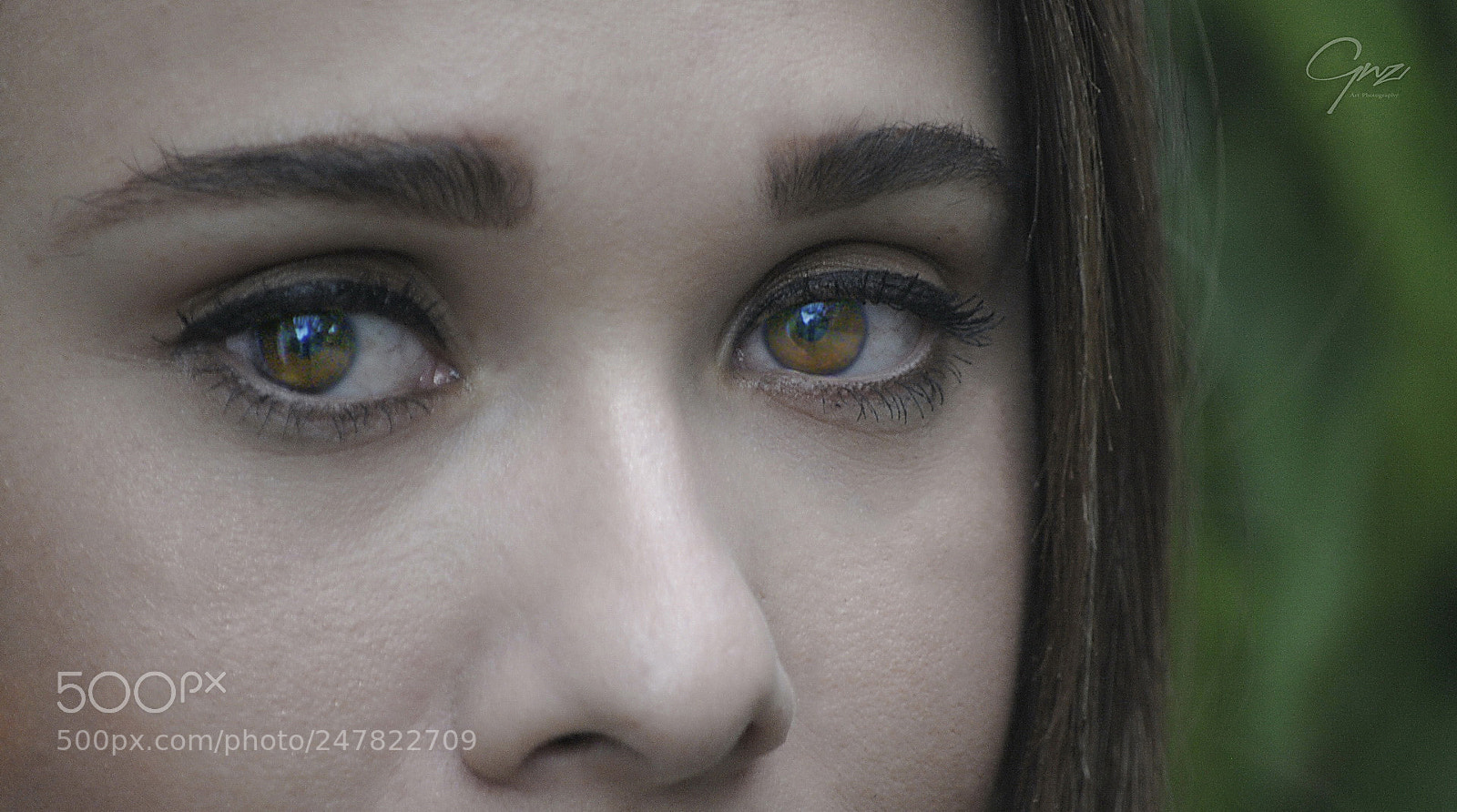 Nikon D3 sample photo. Primerísimo primer plano photography