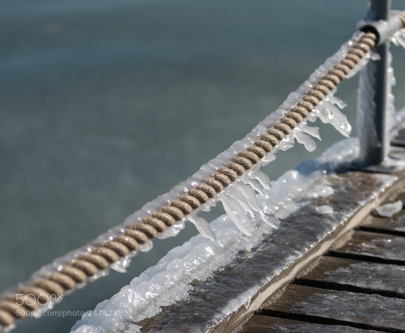 Nikon D810 sample photo. Icicles photography