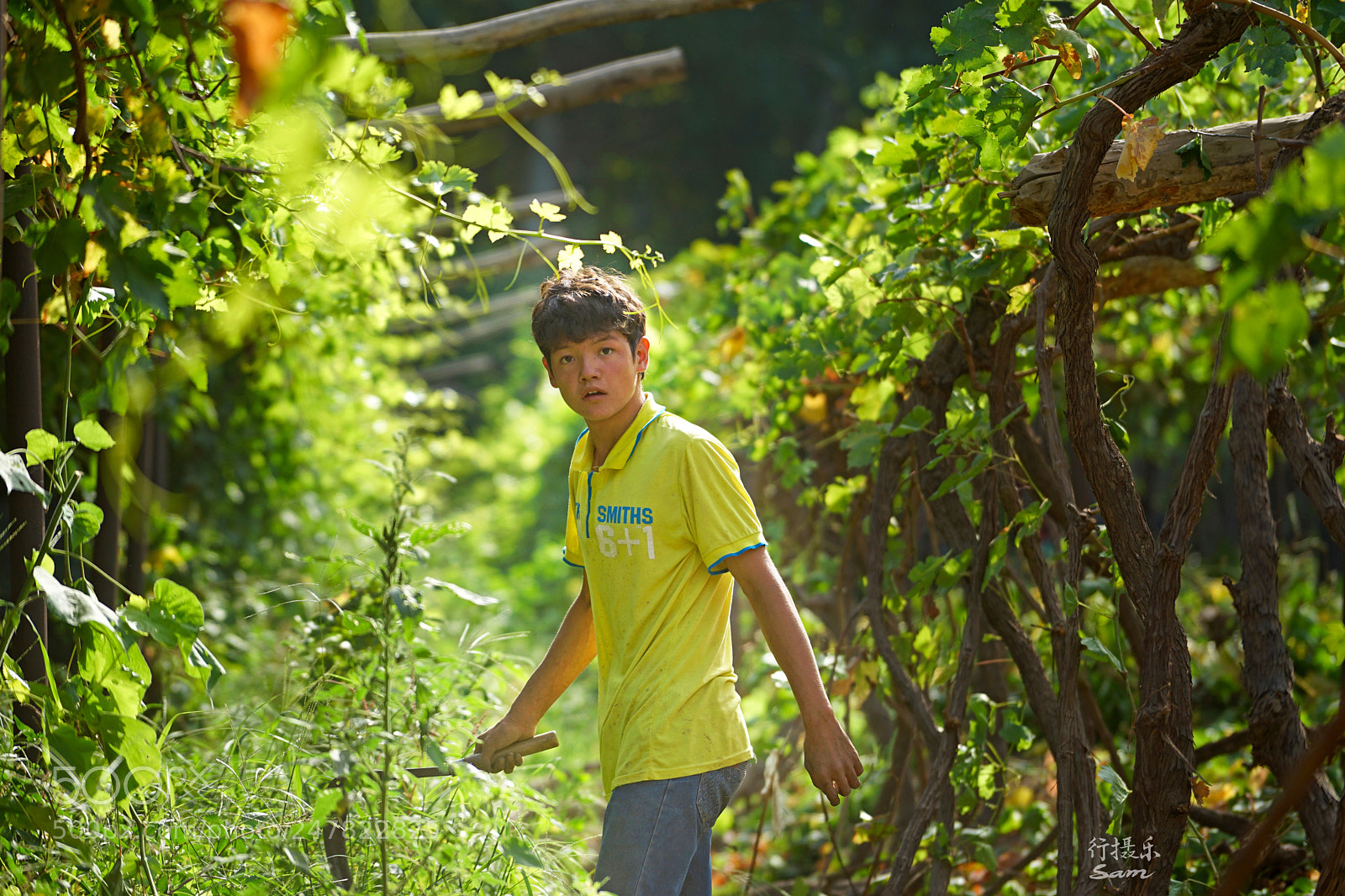 Sony a7 II sample photo. 葡萄沟里小伙子 photography