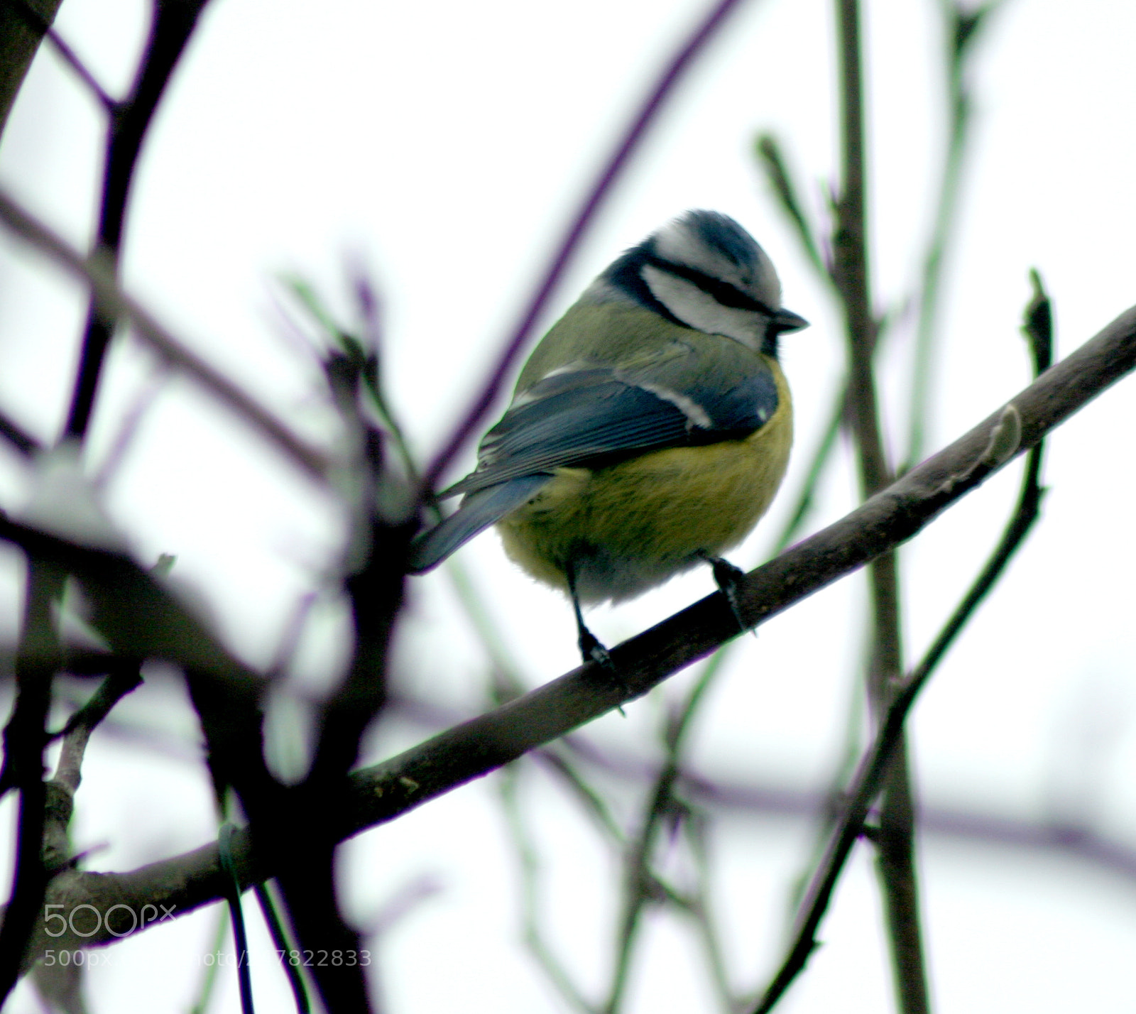 Canon EOS 20D sample photo. Untitled photography