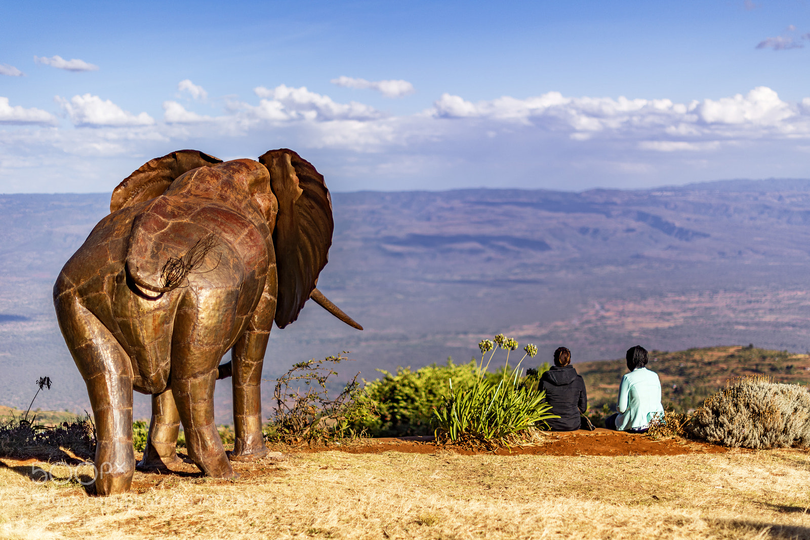 Nikon D850 sample photo. Elephant's view over the photography
