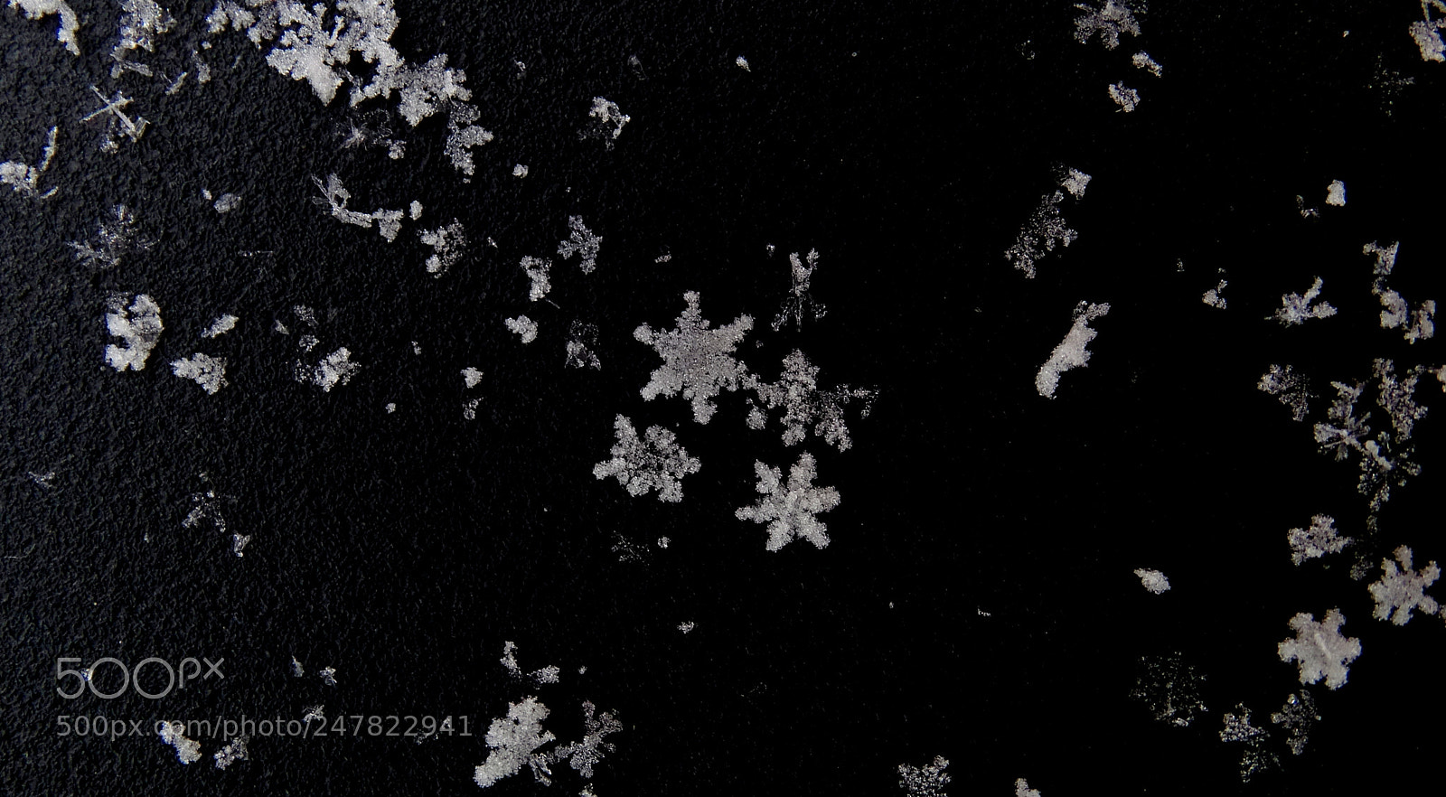 Sony Cyber-shot DSC-HX400V sample photo. Schneekristalle photography