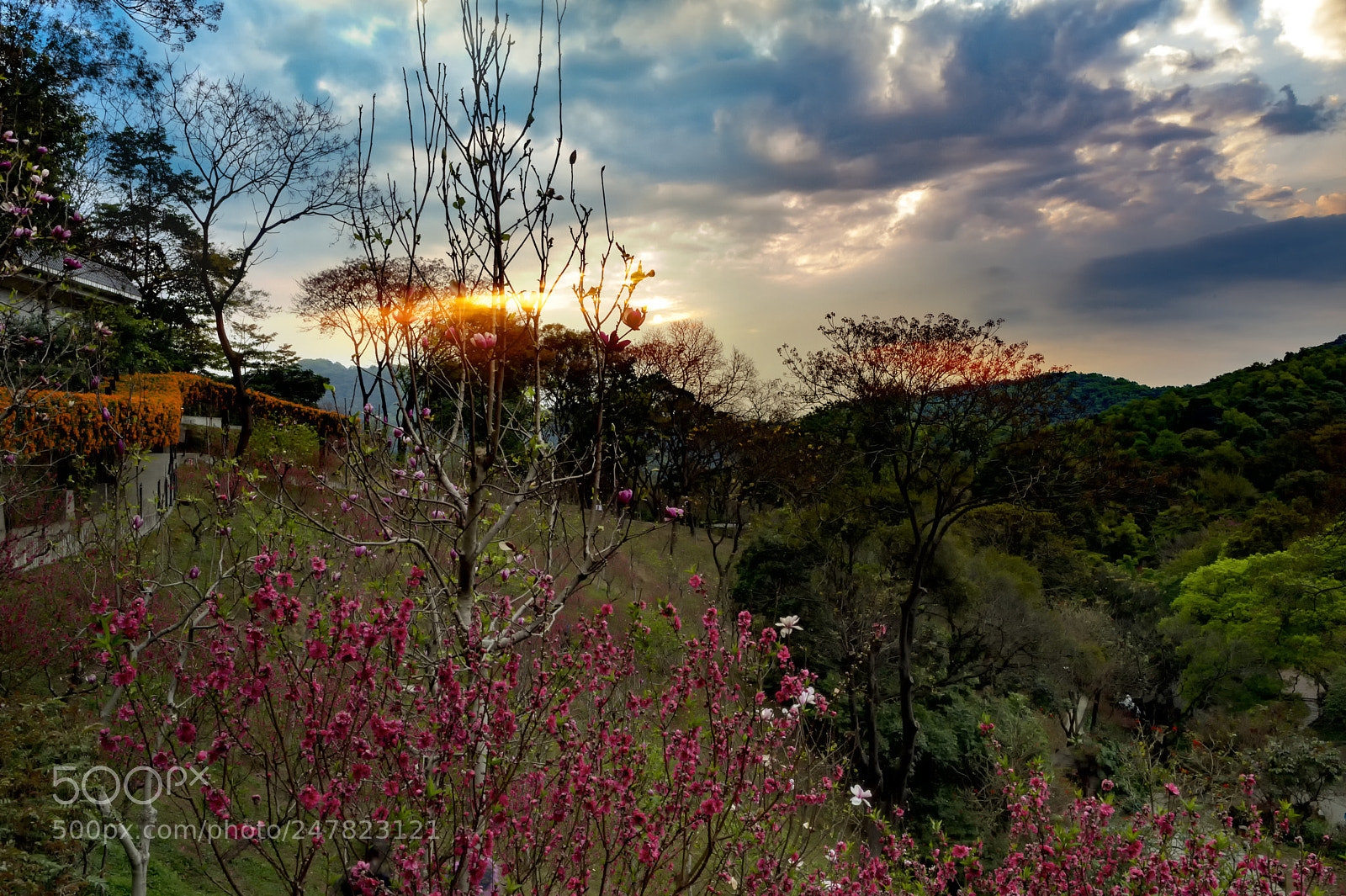 Nikon Df sample photo. Different photography