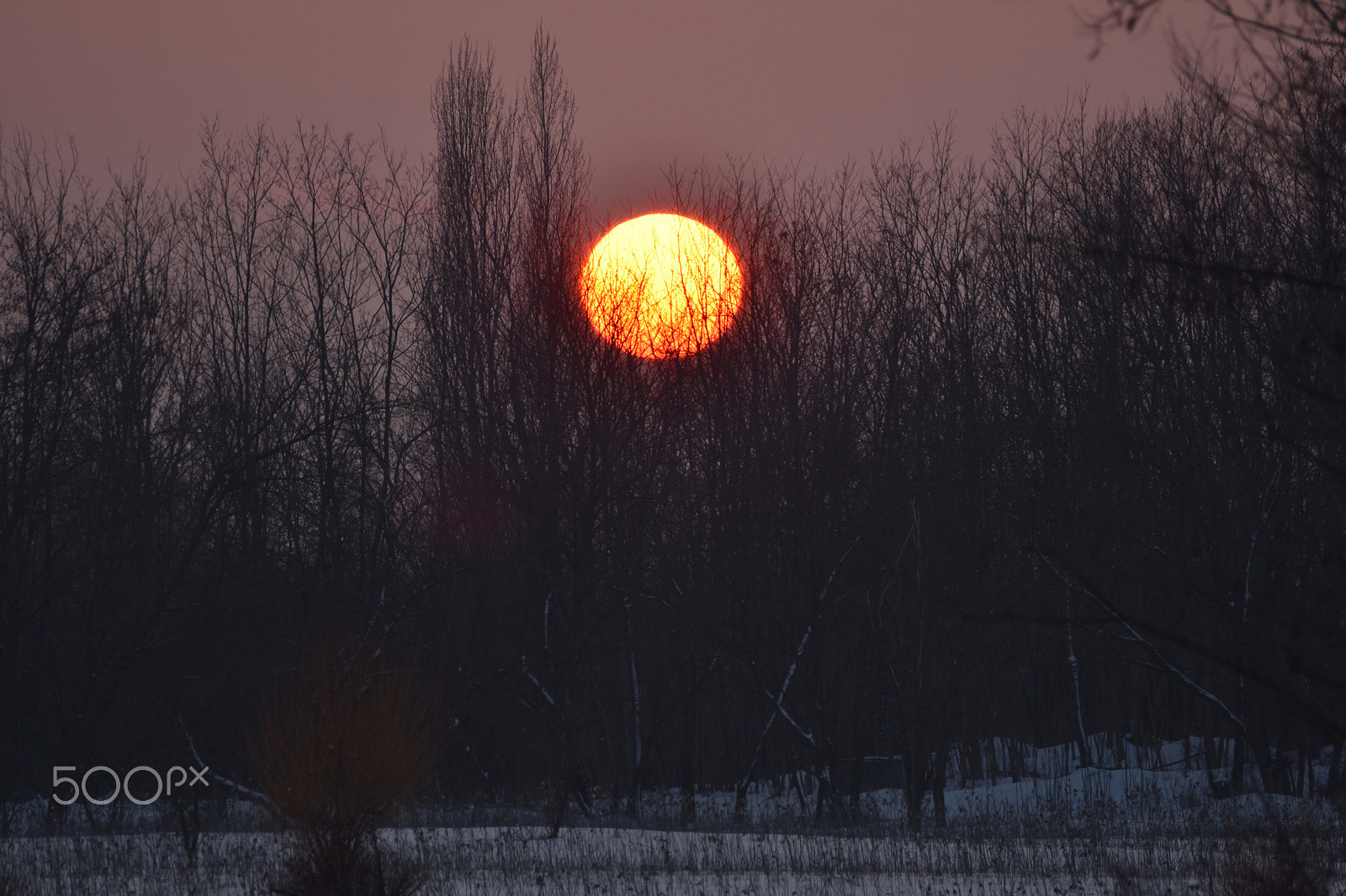Nikon D3400 sample photo. Orange sun photography