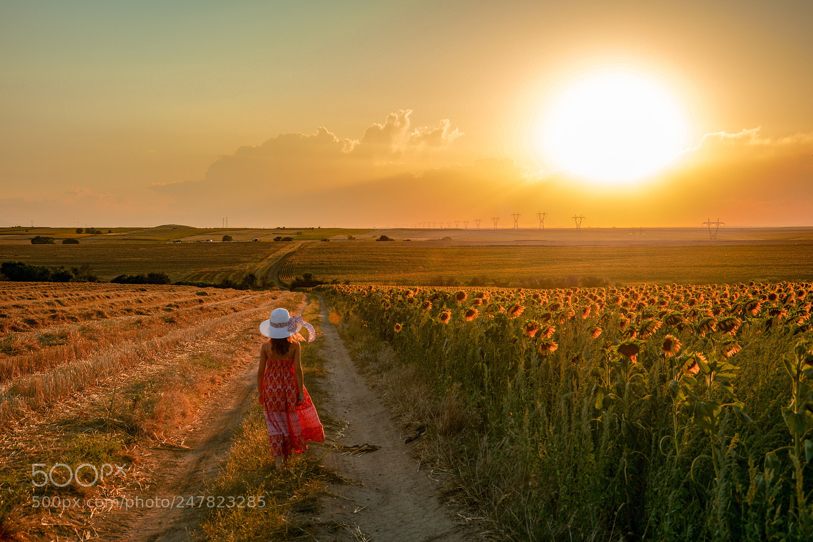 Nikon D7100 sample photo. Girl photography