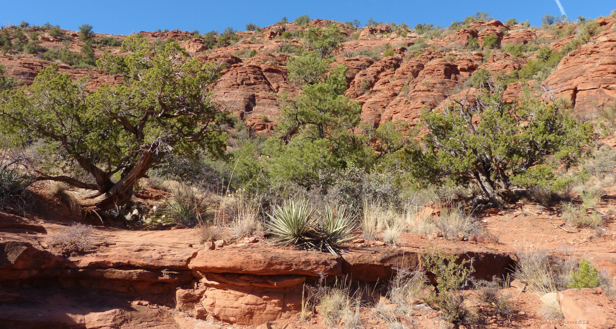 Panasonic Lumix DMC-FZ60 (Lumix DMC-FZ62) sample photo. Red rock desert trail photography