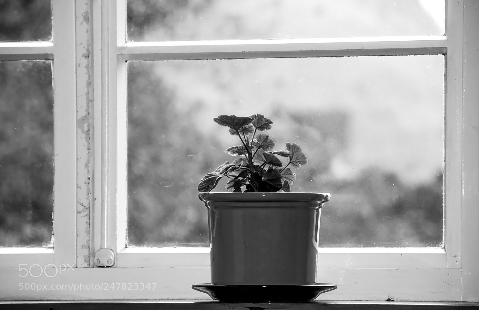 Nikon D50 sample photo. The old window and photography