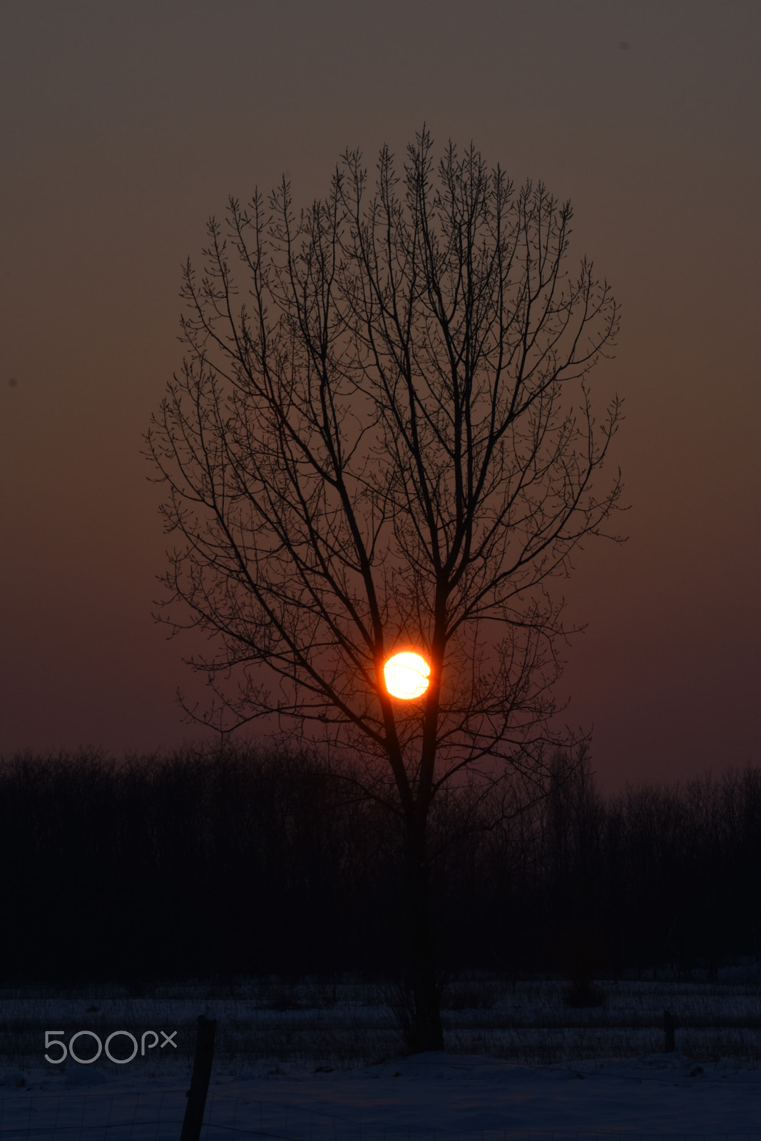 Nikon D3400 sample photo. Sunny photography