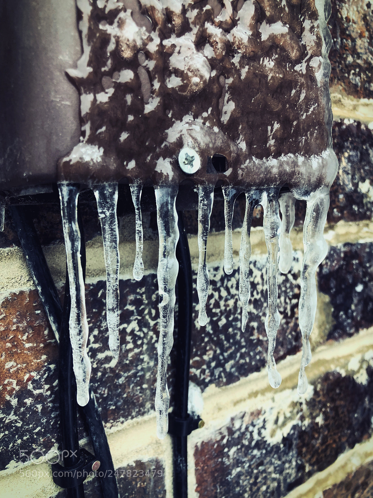 Apple iPhone X sample photo. Brr photography