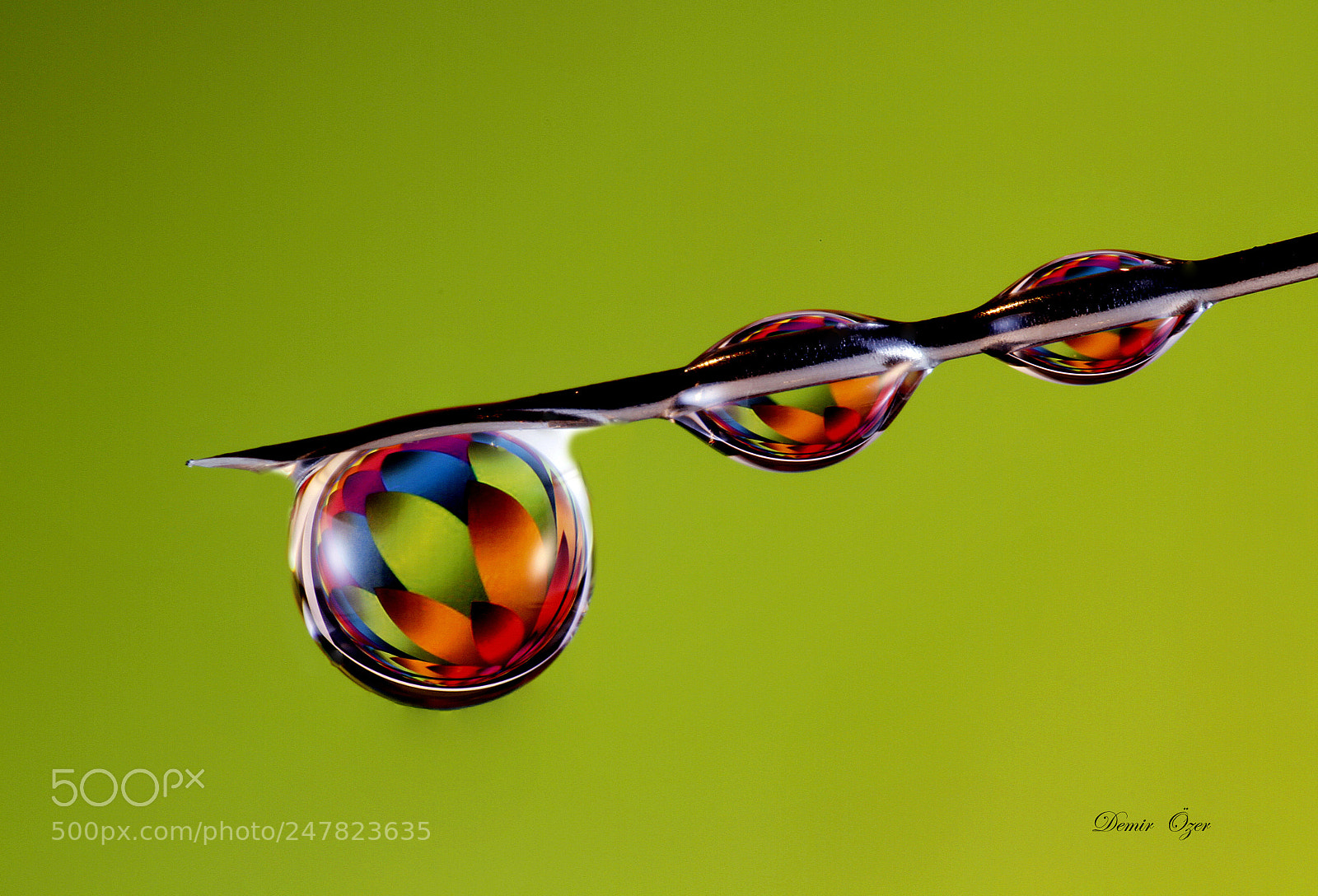 Canon EOS 7D sample photo. Needle and drops.. photography