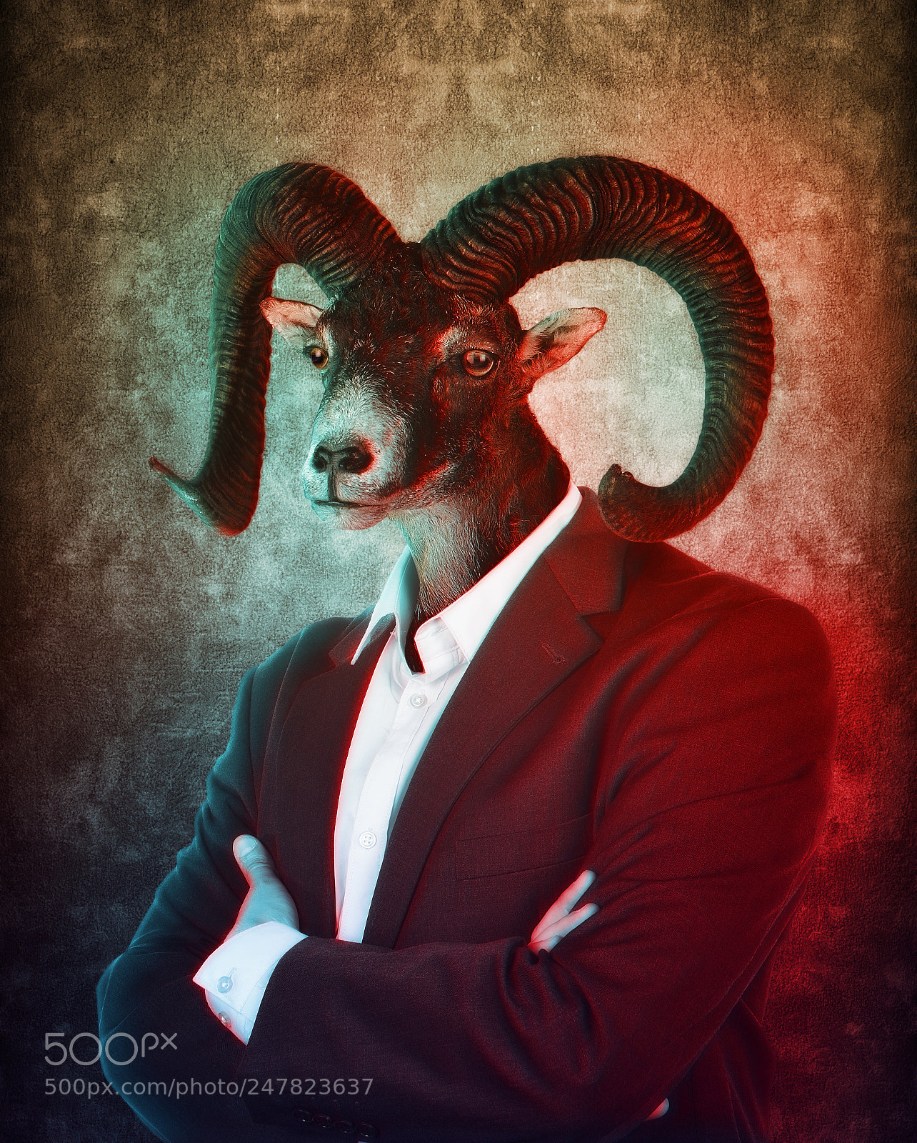 Nikon D800E sample photo. Head of a goat photography