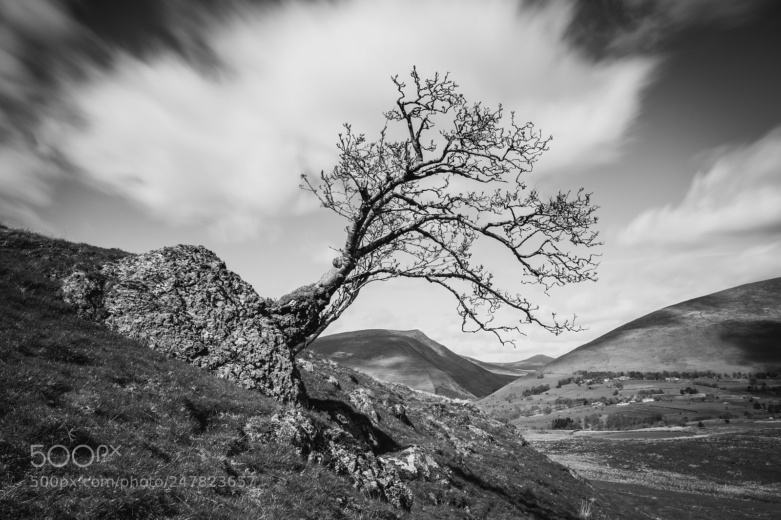 Canon EOS 80D sample photo. Lone tree keswick photography