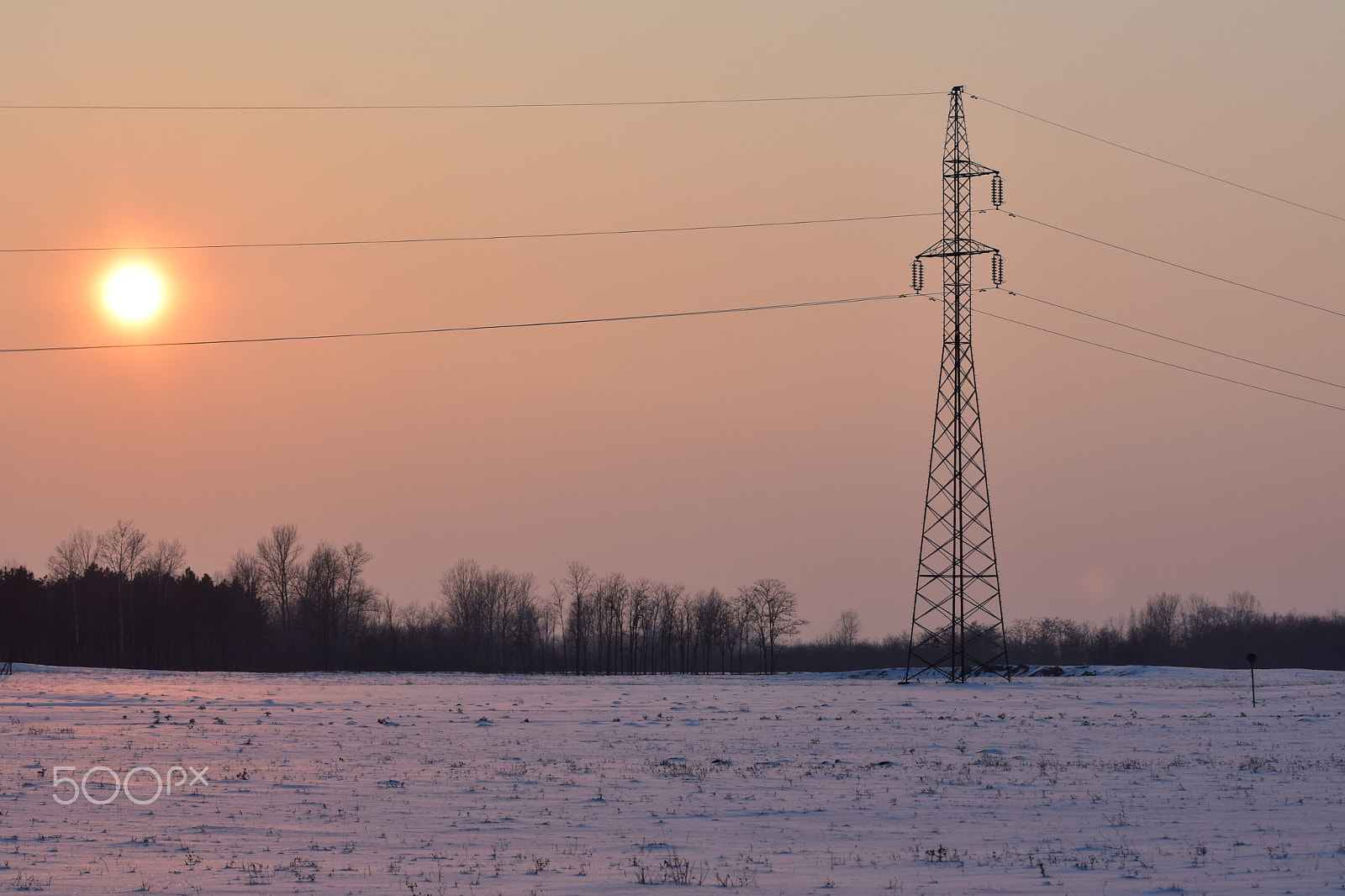 Nikon D3400 sample photo. Powerline photography