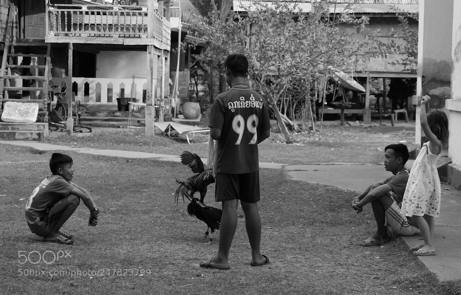 Canon EOS 100D (EOS Rebel SL1 / EOS Kiss X7) sample photo. Cocks fight photography