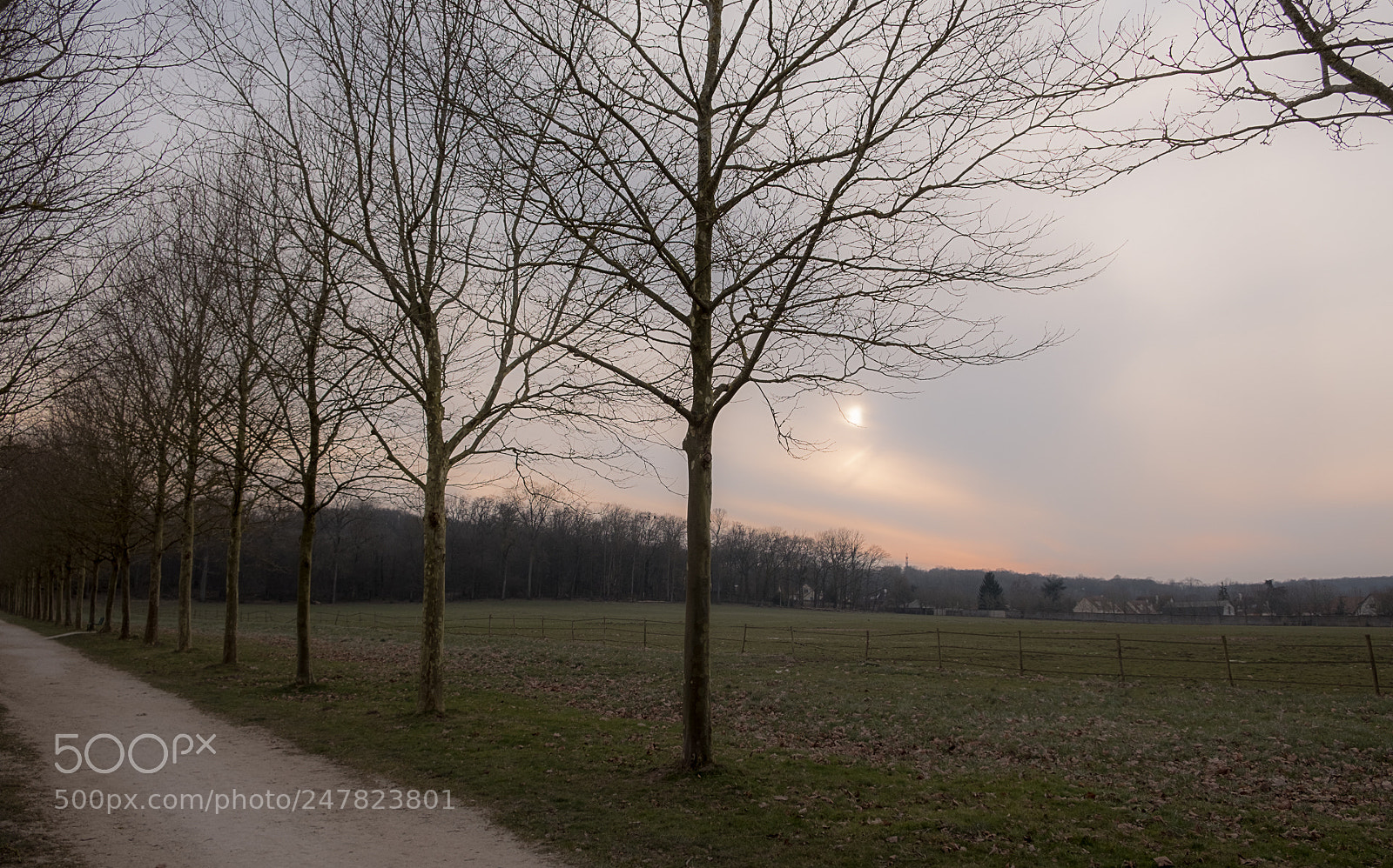 Fujifilm X-T20 sample photo. Winter sun photography