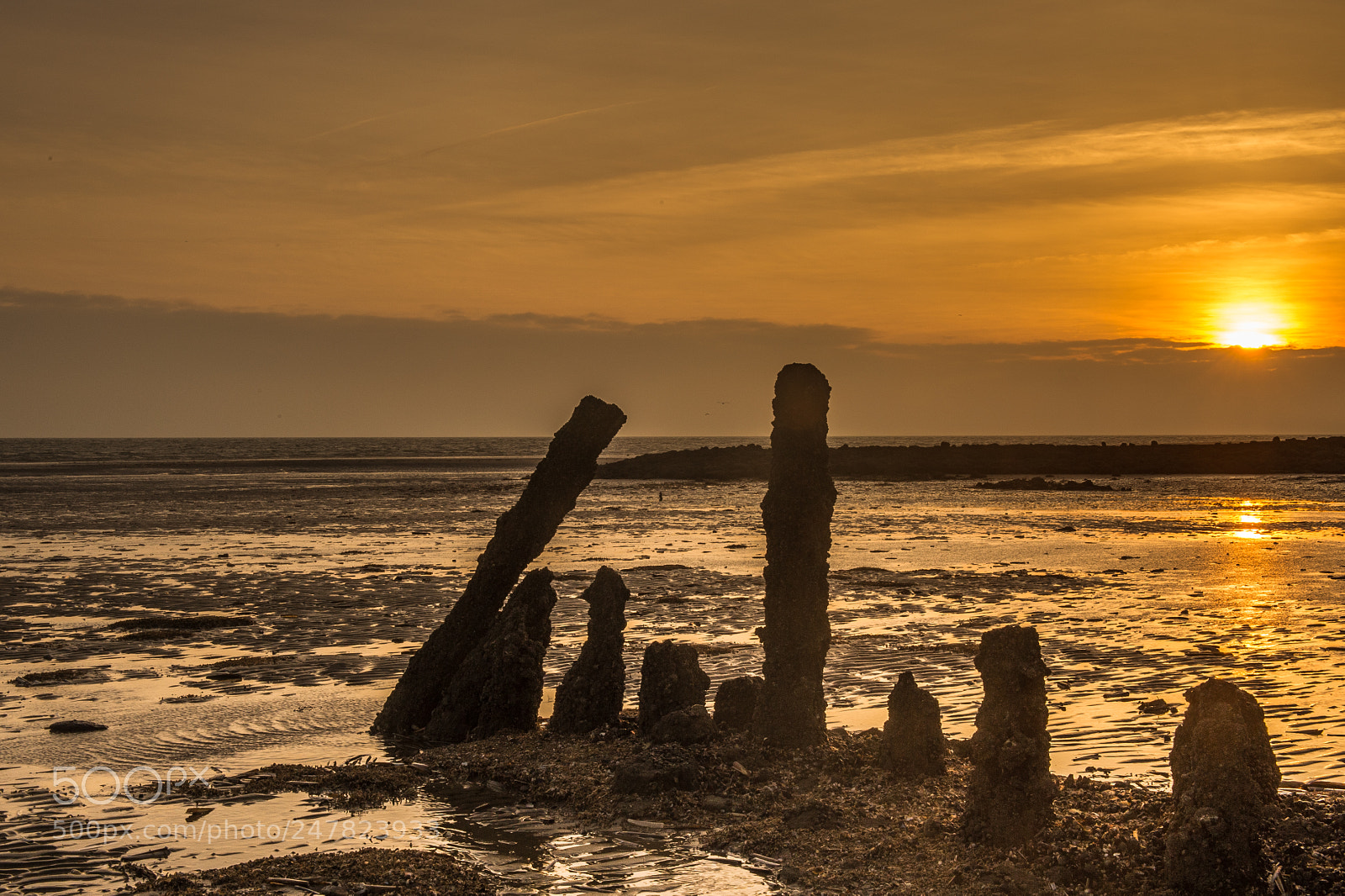 Nikon D3S sample photo. Amrum wiitdün sonnenaufgang photography