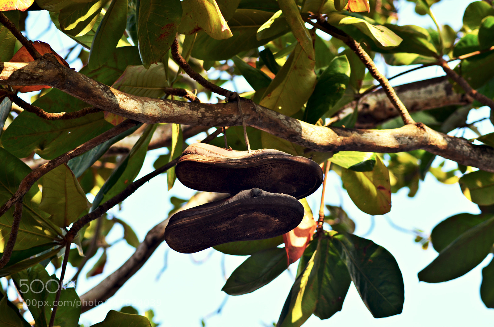 Nikon D5100 sample photo. The forgotten shoes photography