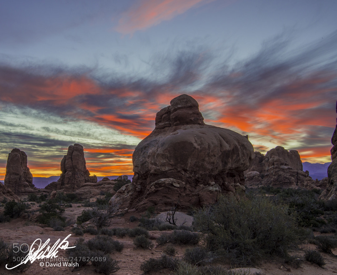 Nikon D4S sample photo. Arches national park photography