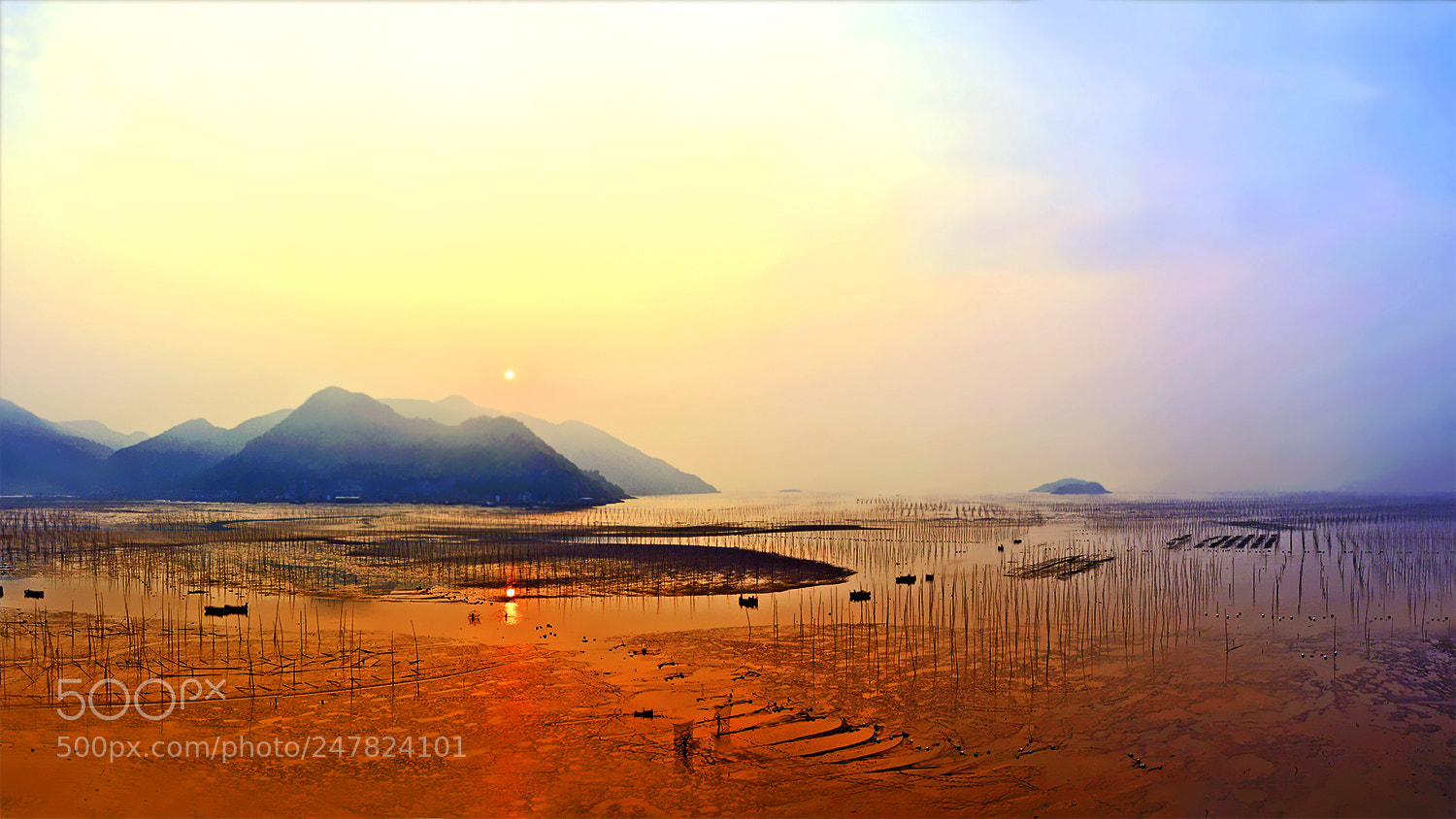 Nikon D800E sample photo. 日出映的滩涂红 photography