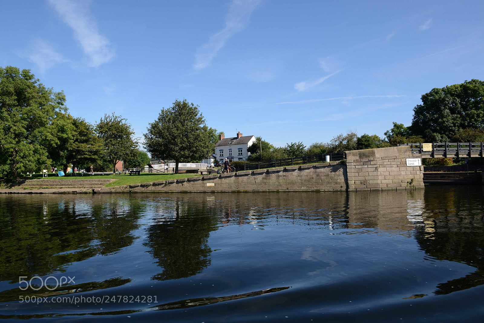 Nikon D800 sample photo. Free life photography