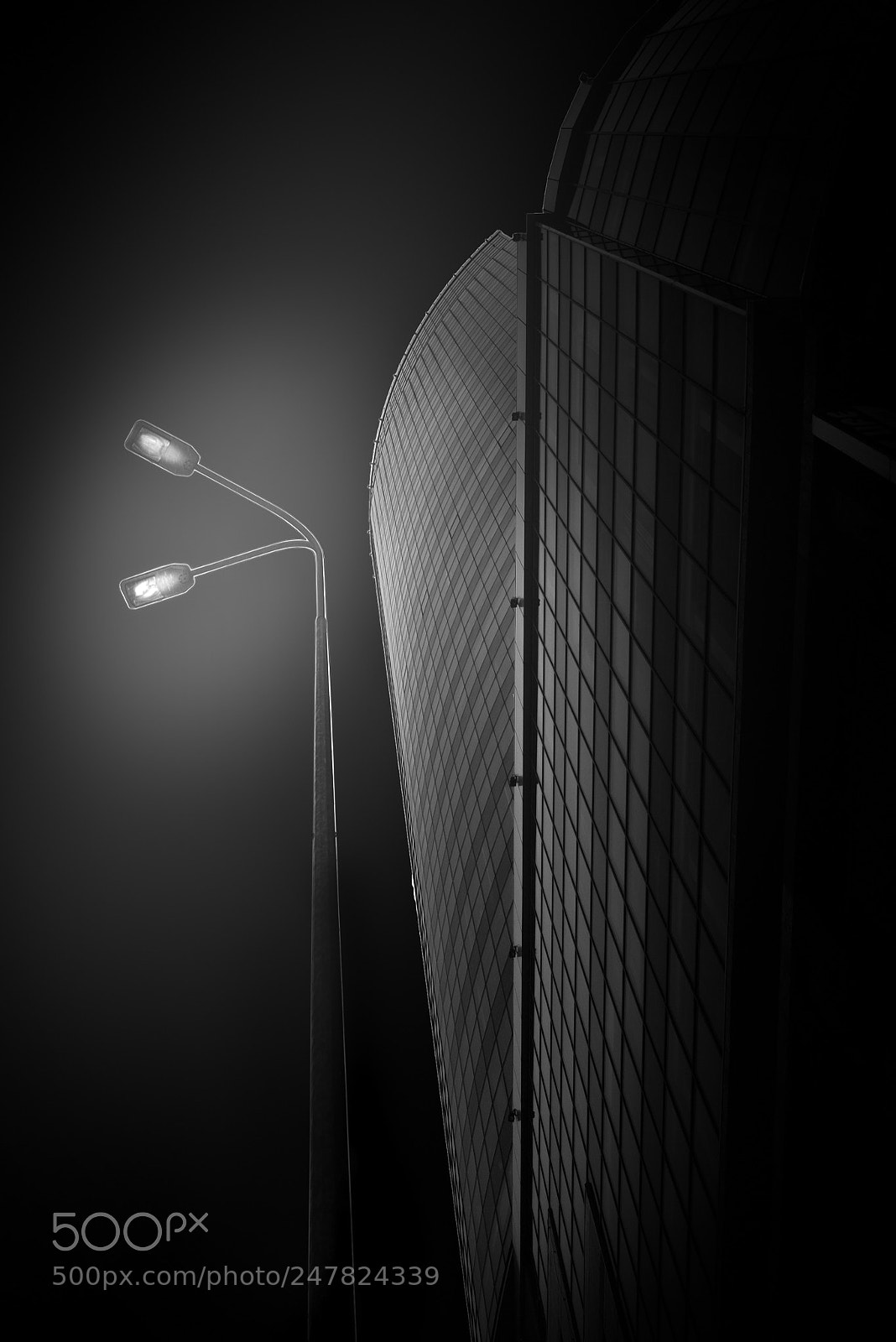 Nikon D810 sample photo. Untitled photography