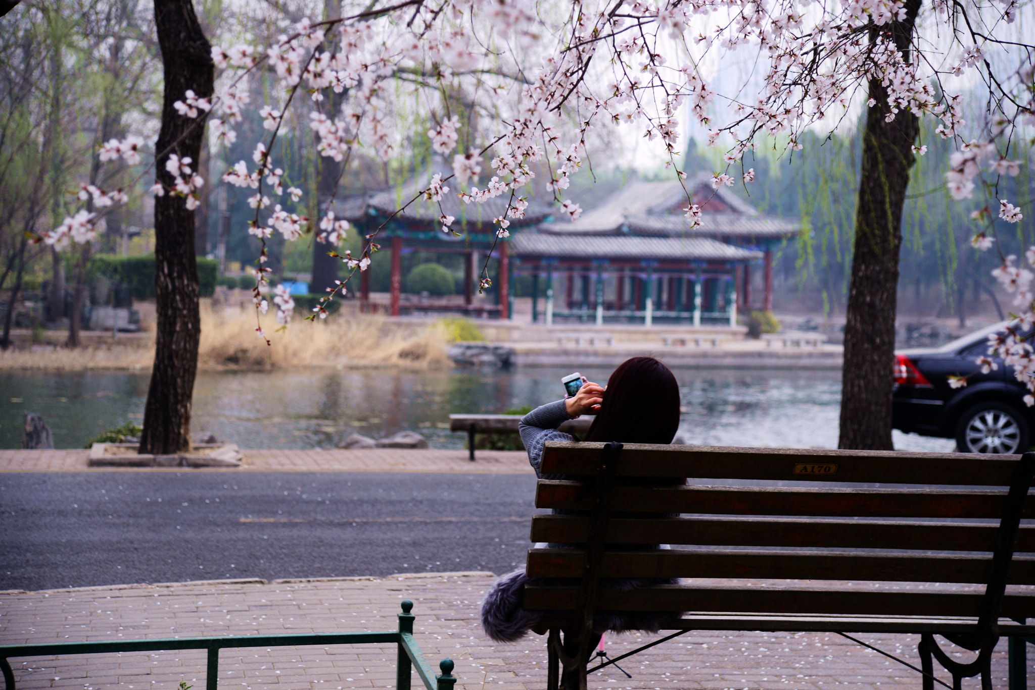 Nikon AF-S Nikkor 24-120mm F4G ED VR sample photo. 你 photography