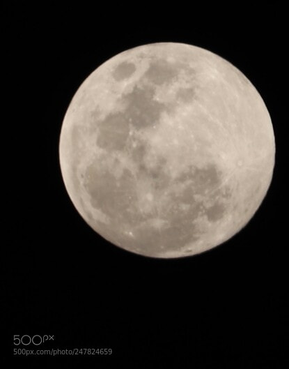 Canon EOS 200D (EOS Rebel SL2 / EOS Kiss X9) sample photo. Moon at holi festival photography