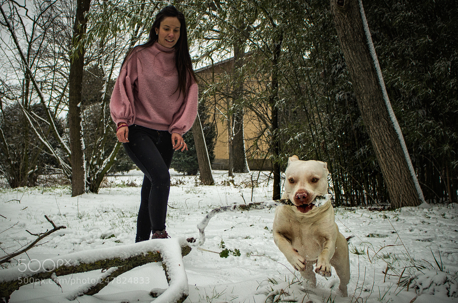 Canon EOS 100D (EOS Rebel SL1 / EOS Kiss X7) sample photo. The first snow! photography