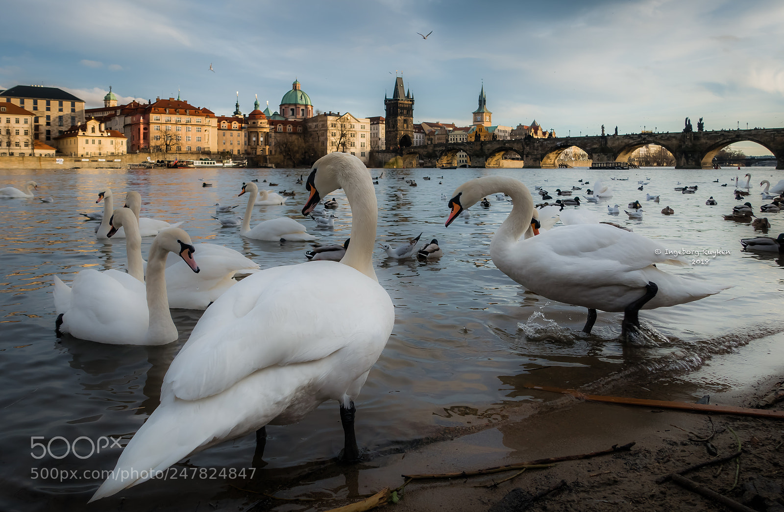 Sony Cyber-shot DSC-RX100 III sample photo. Prague 8146 photography