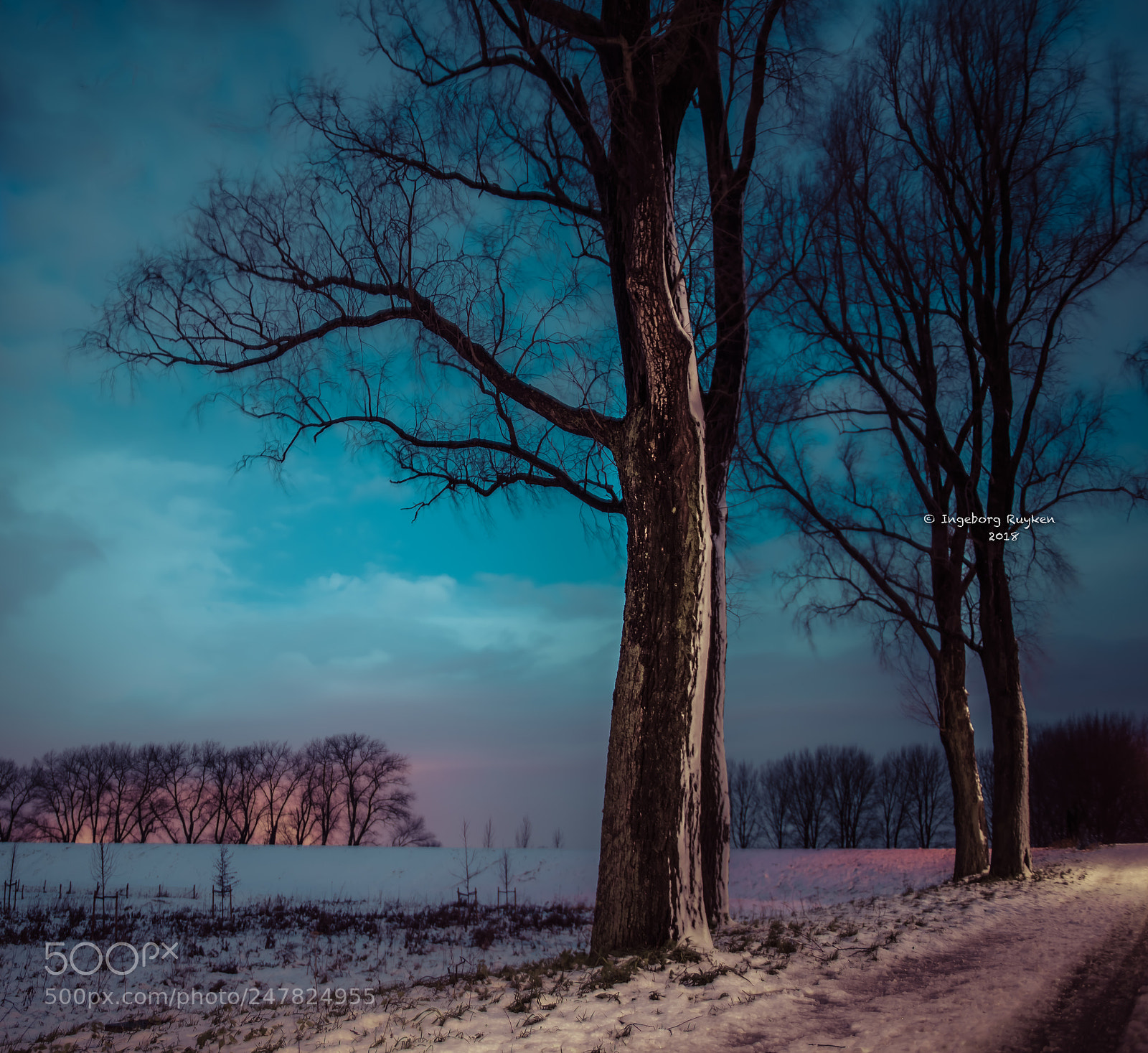 Nikon D800 sample photo. An icy quiet forlon photography